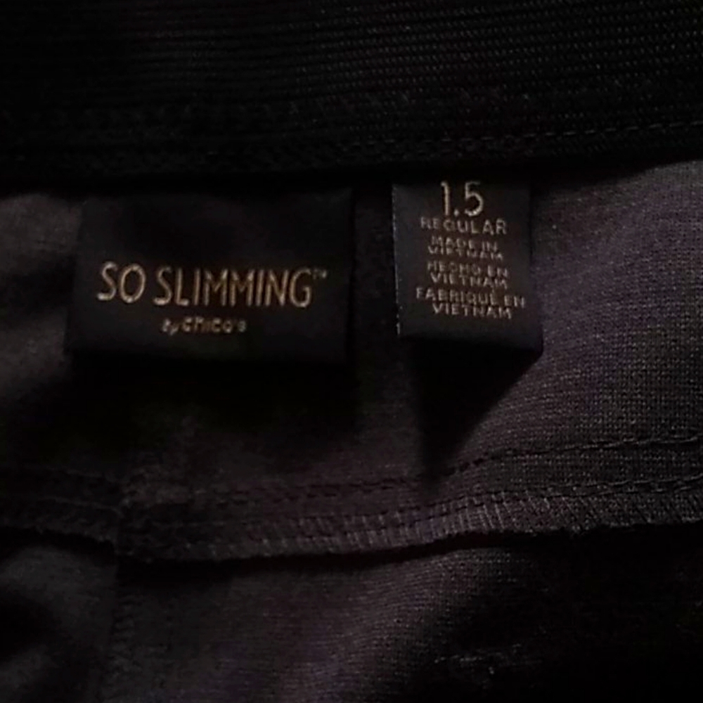 Dress pants